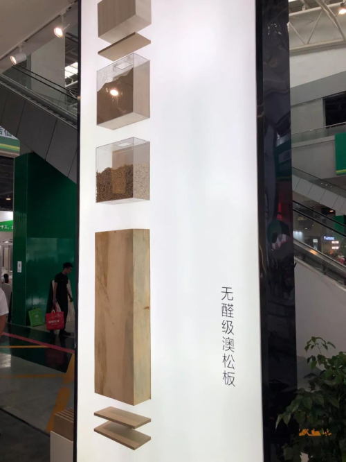 聚焦木博会第二日，澳思柏恩三重个性领跑人气榜(图5)