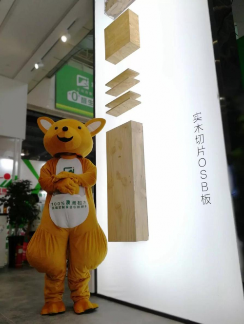 聚焦木博会第二日，澳思柏恩三重个性领跑人气榜(图8)