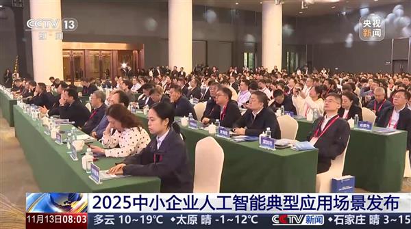 央视报道！壹沓科技AI Agent入选工信部2025年度中小企业人工智能典型应用(图2)