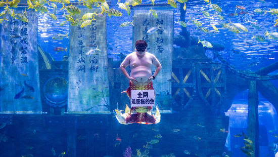 坐拥20亿流量的胖人鱼“猪鲤”首次登陆重庆！亮相重庆融创海世界开启首演(图3)